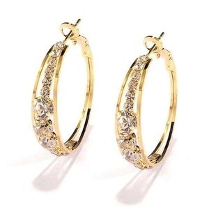 Elegant Gold Hoop Earrings